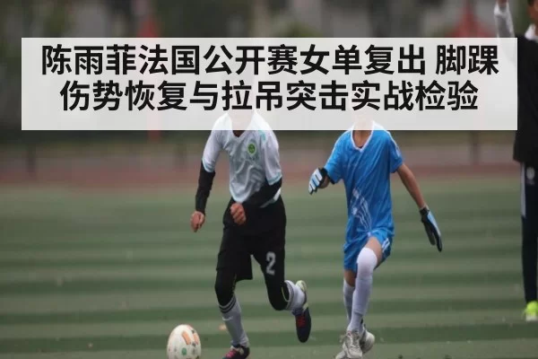 陈雨菲法国公开赛女单复出 脚踝伤势恢复与拉吊突击实战检验